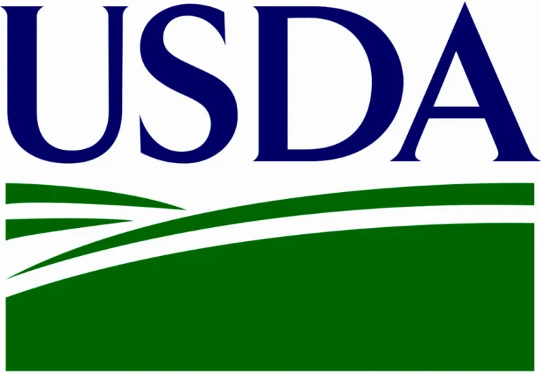 USDA знизило оцінку врожайності кукурудзи у США