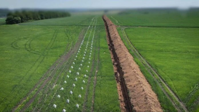 Рада підтримала компенсації аграріям за врожай на землях, де будуватимуть фортифікації