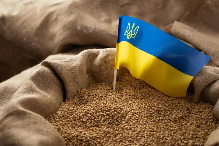 Україні потрібне обладнання для зберігання зерна: звернулись по допомогу до США