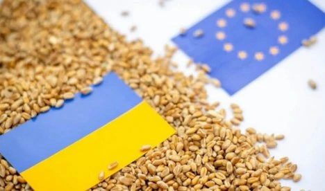 Єврокомісія не планує збільшувати аграрні квоти для України